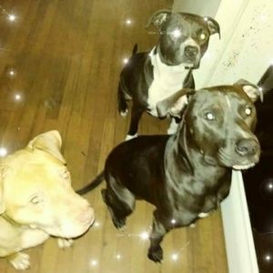 Meet your Posher, Nazirah